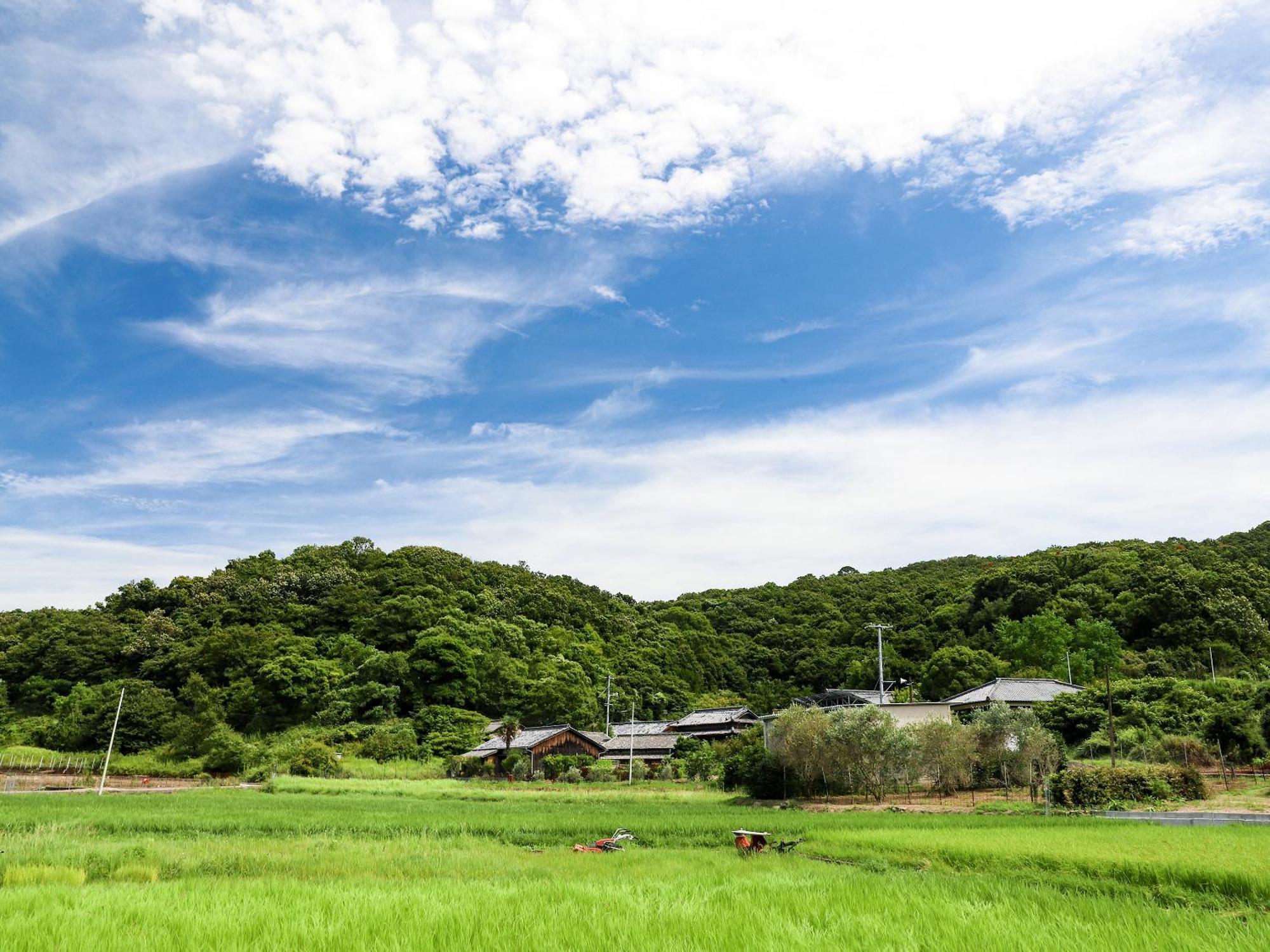 オリーブ農家の家 お泊り忠左衛門 吉野 Shodoshima Exterior foto